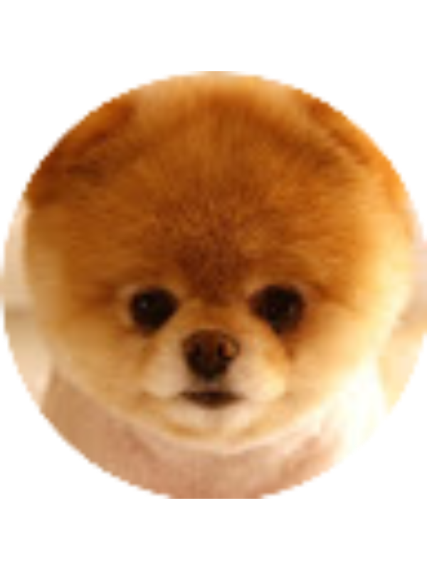 Photo of Kiera Kuzinski