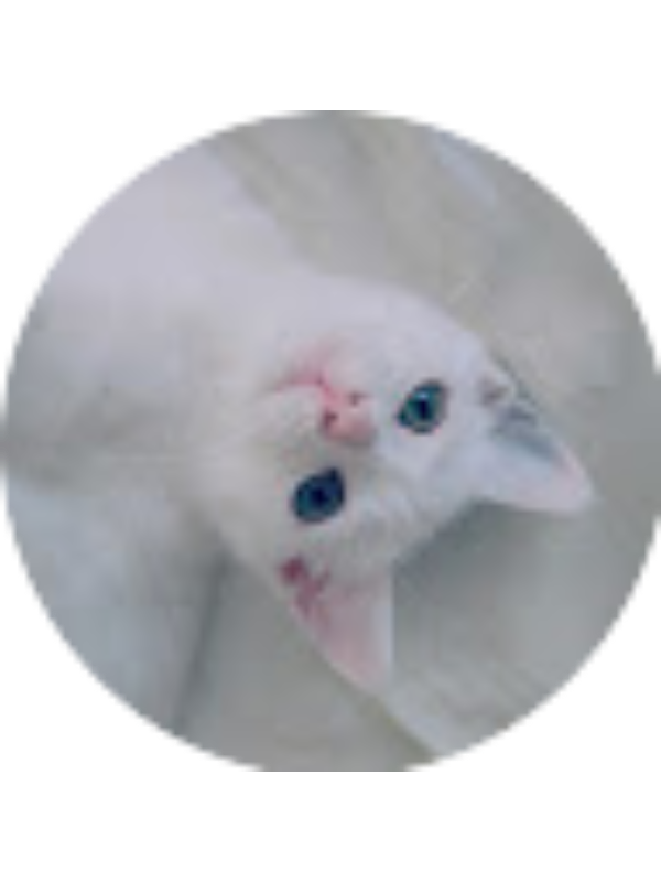 Photo of Zeynep Akalın