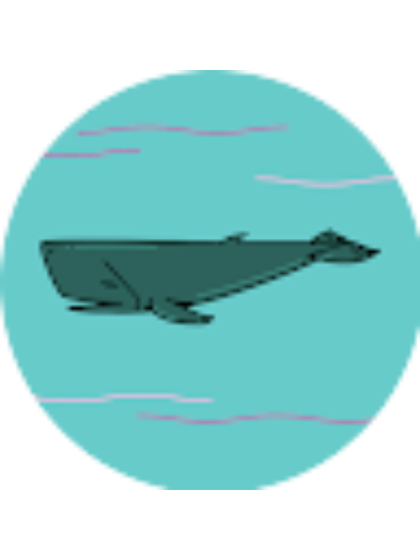 Photo of Shubhi Sharma