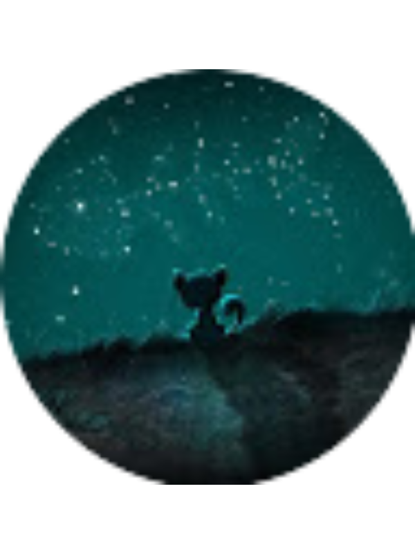 Photo of Anita Stipic