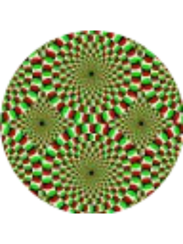 Photo of Kourtney Baird