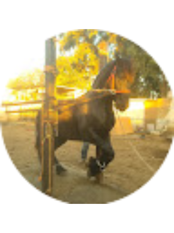 Photo of Eleana Herrera Funez