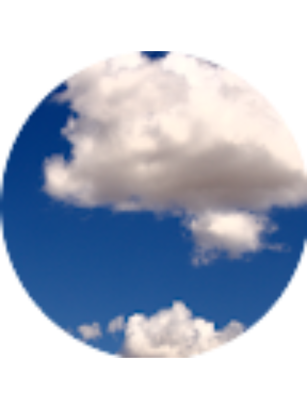 Photo of Kariny Vendramini