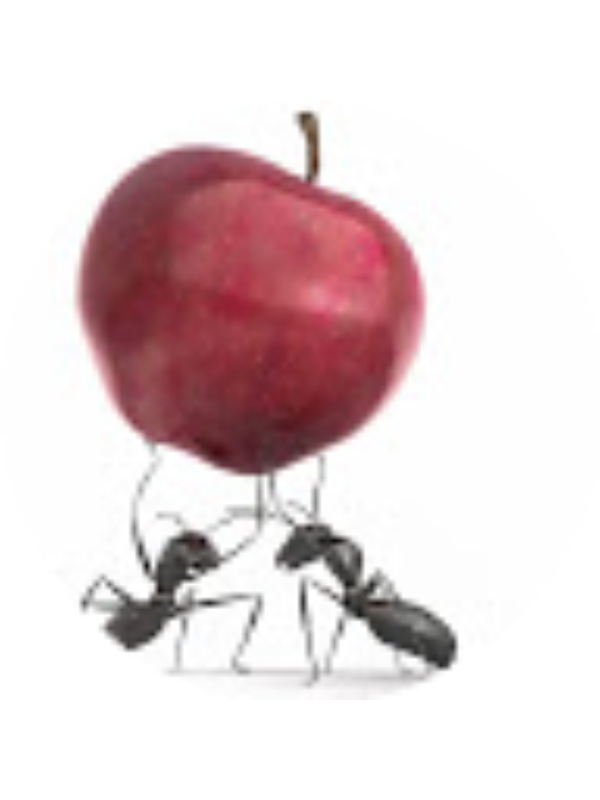 Photo of Laurel (Laurel) Ware