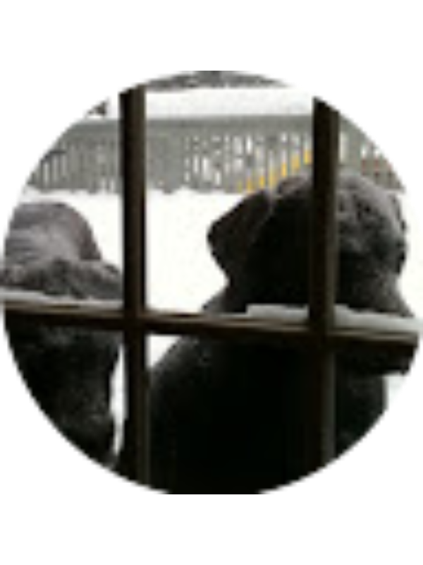 Photo of Sophia Liebermann