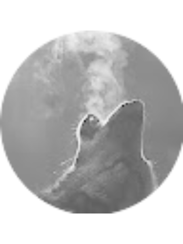 Photo of Kamile Gerlikaite