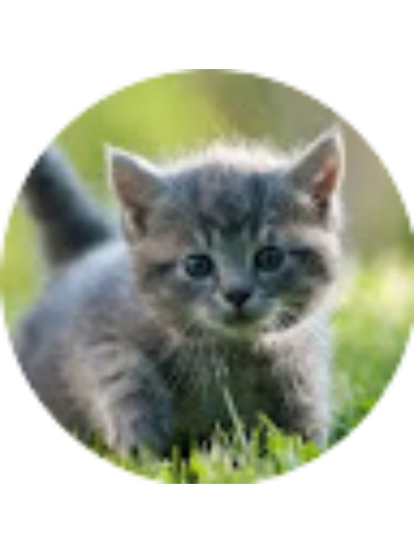 Photo of Rosalie Labb&eacute;