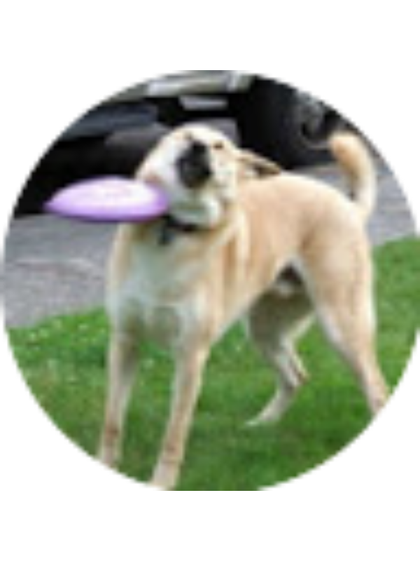 Photo of Gemma Beasley