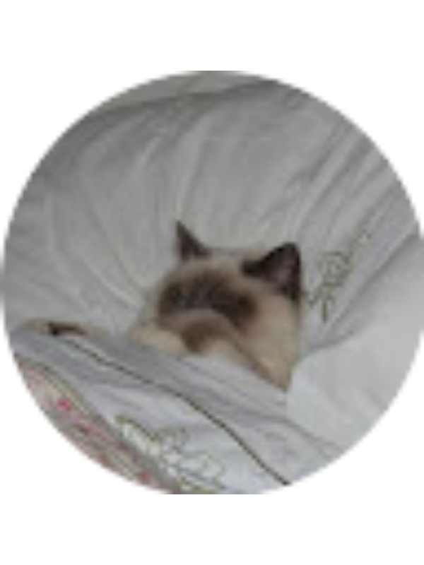 Photo of SARITA RODRIGUEZ