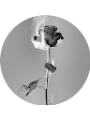 Picture of Nacole Nahlen