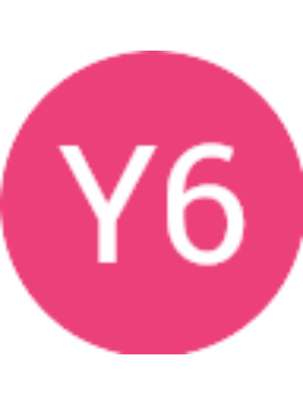 Photo of Y6 ZHANG SHUYUAN