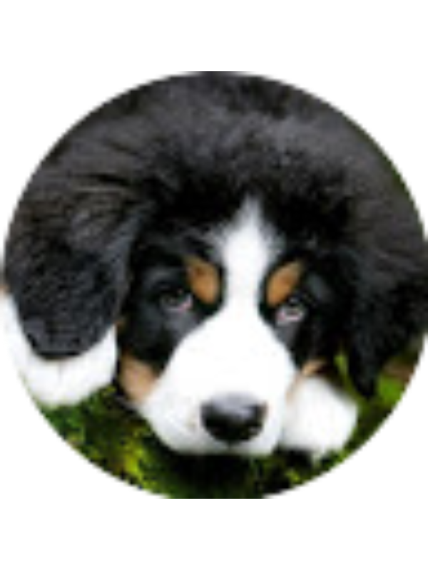 Photo of Zachary Vollrath