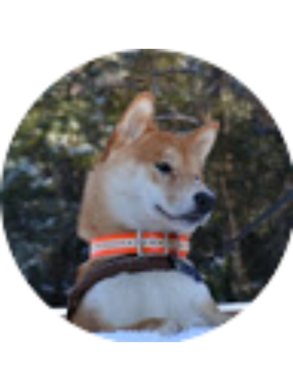 Photo of Kayla Noelle Bolling