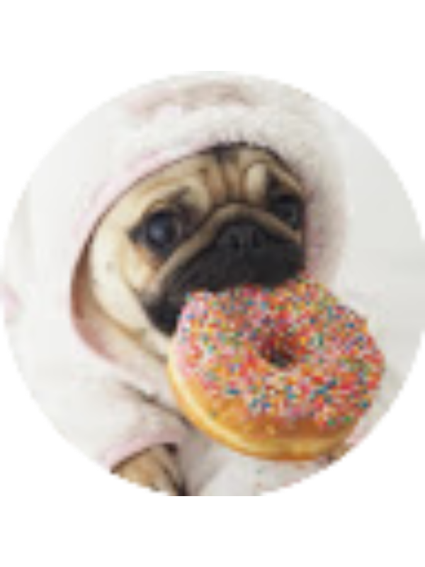 Photo of Keller Thompson