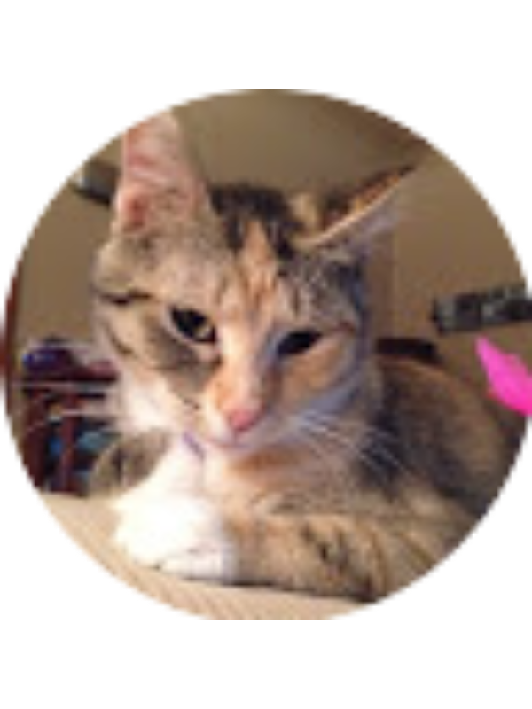 Photo of Grace A Mandsager