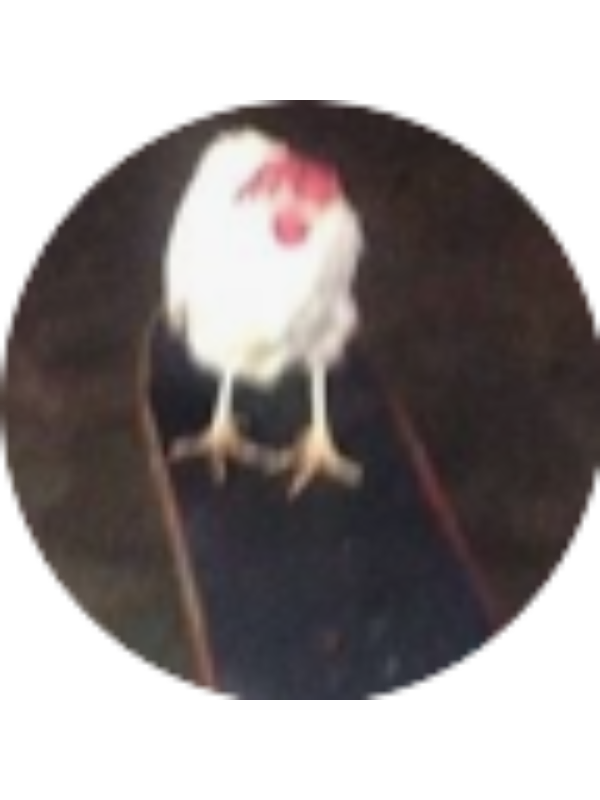 Photo of Sophia Voss