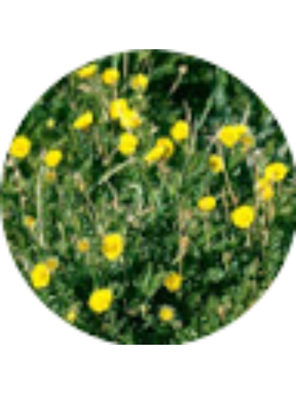 Photo of Natalia Ortiz :)