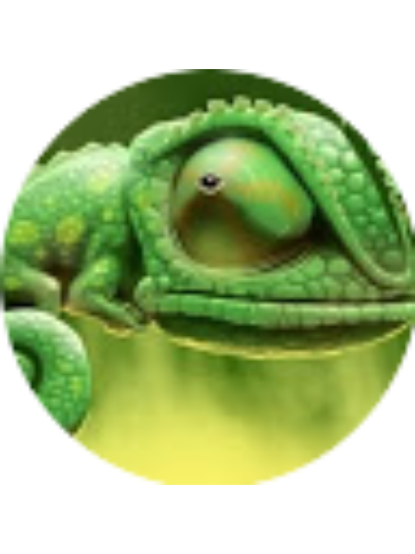 Photo of marten25kais