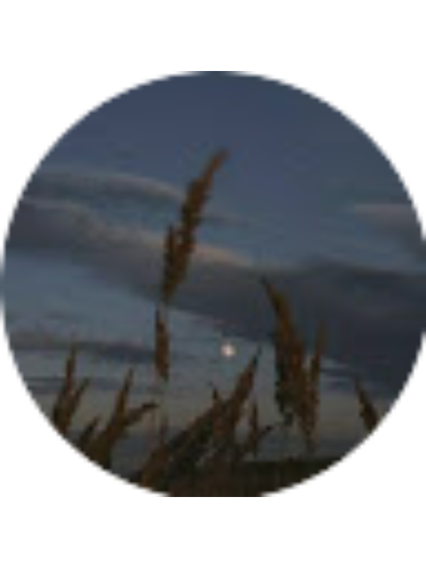 Photo of Rukiye &Ccedil;akır