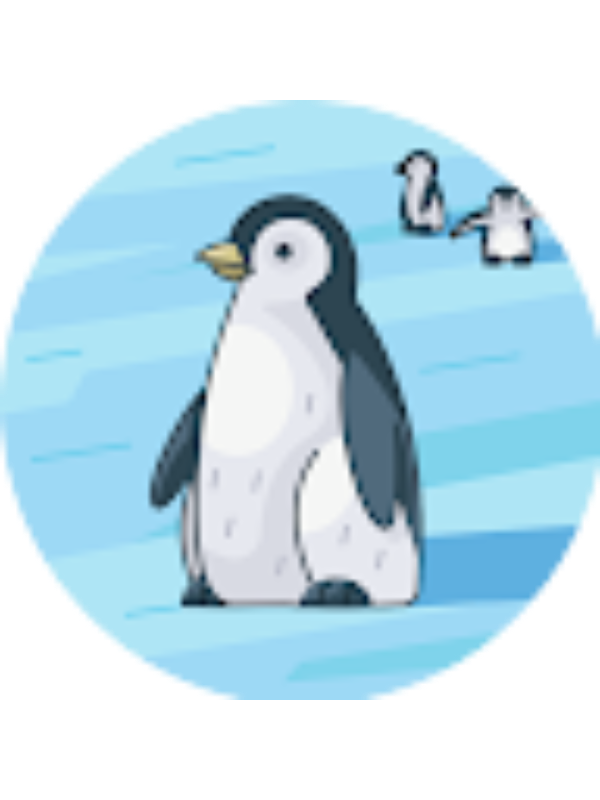 Photo of João Freitas