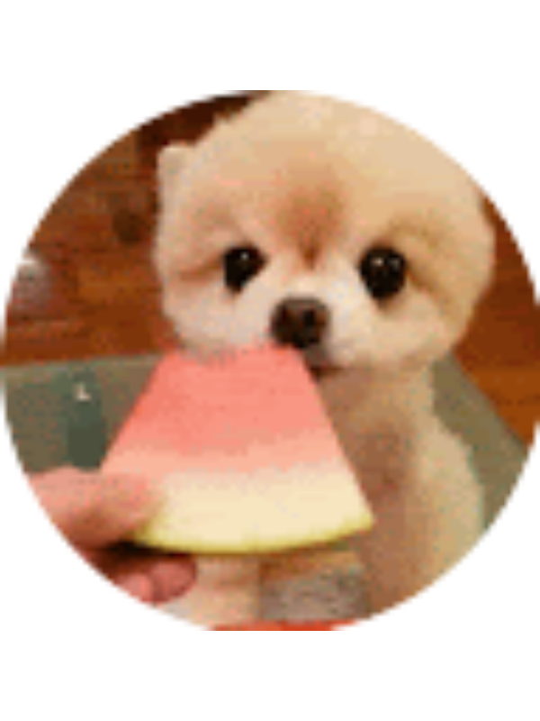 Photo of Marisa Malhotra (Student)