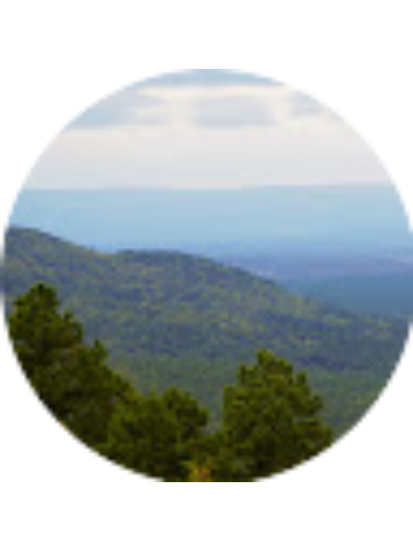 Photo of Morgan Darnell