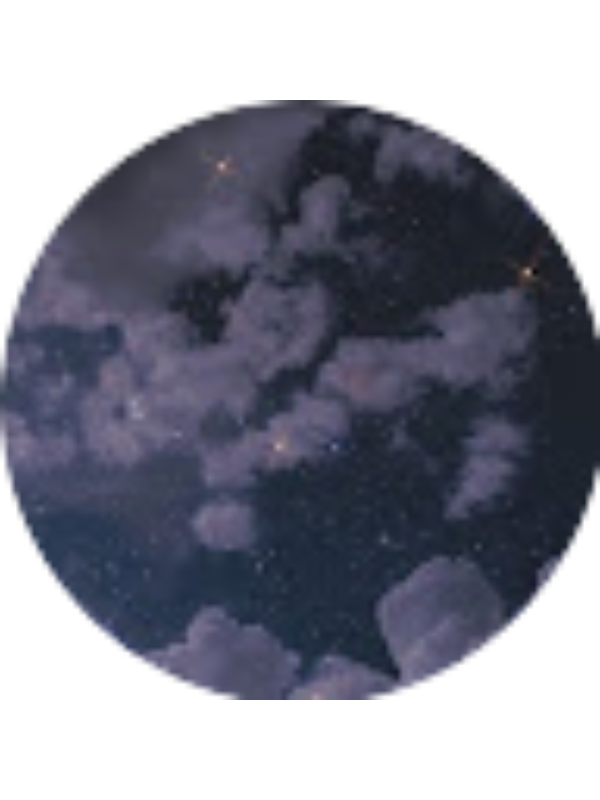 Photo of Mariana Avelar