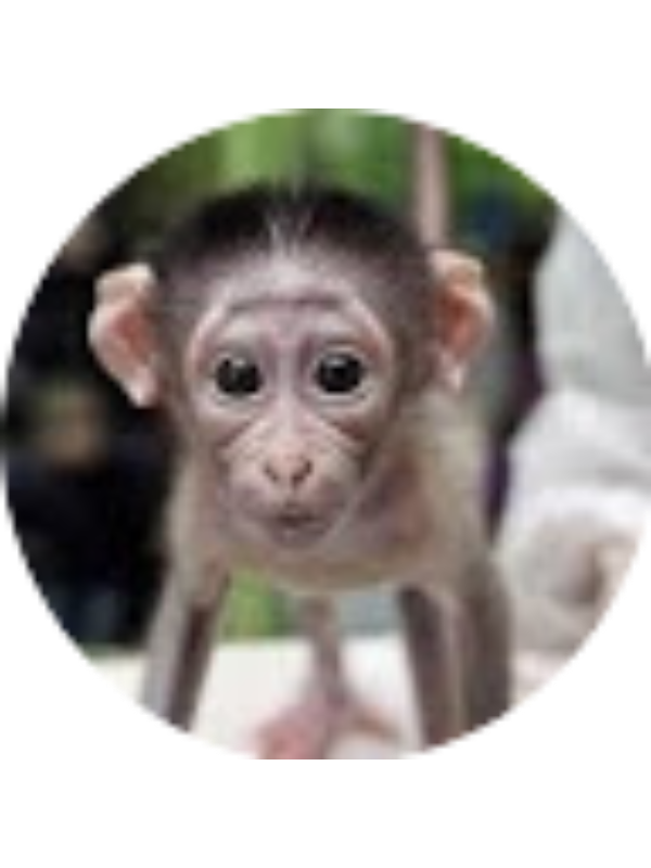 Photo of Samantha Kurecka