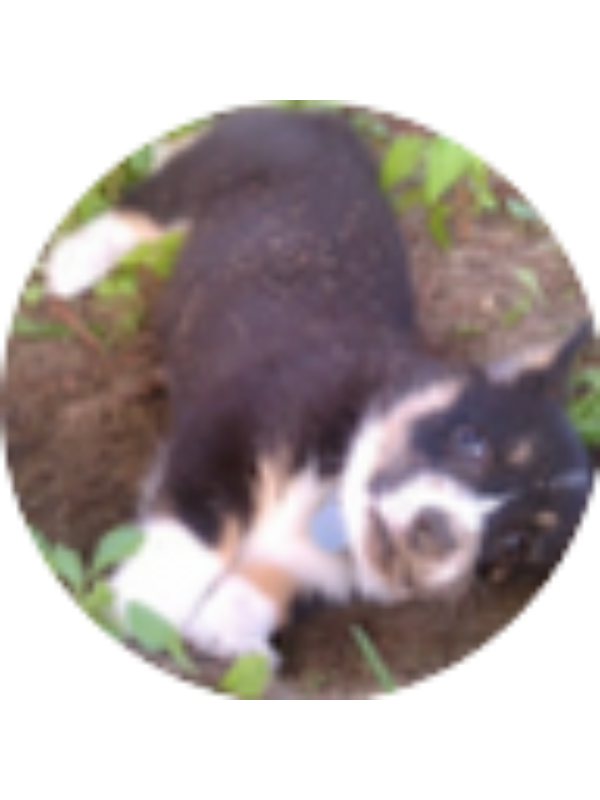 Photo of Adrianna Ocasio