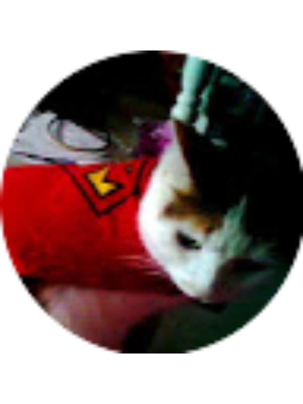 Photo of Kaylee Shappee