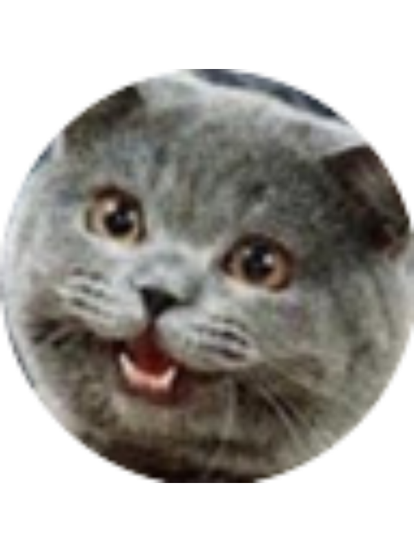 Photo of Tushar Singh