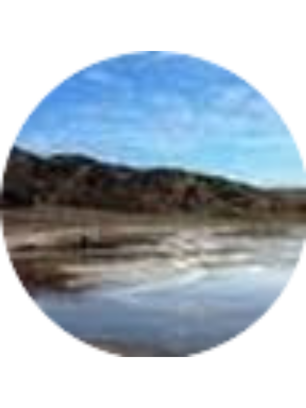 Photo of Francisca Martins