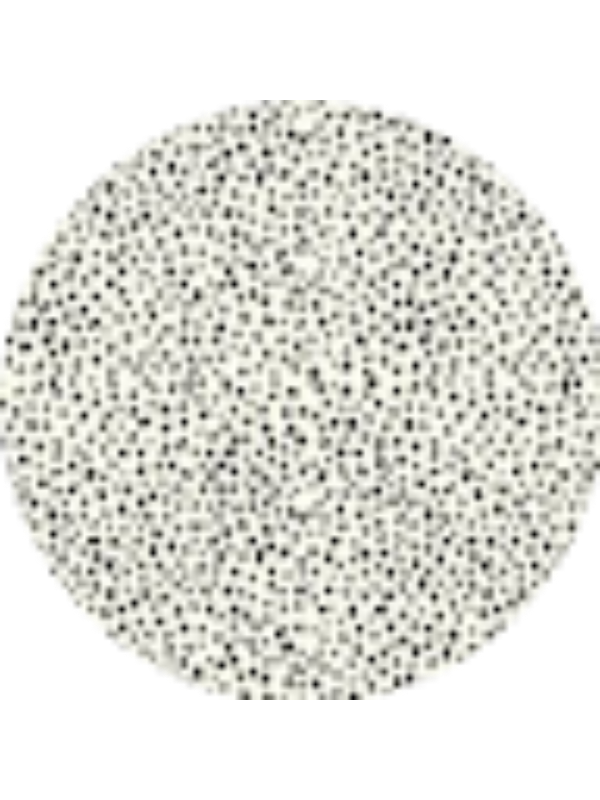 Photo of Carolina Caetano