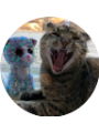 Picture of Madeline Gordon