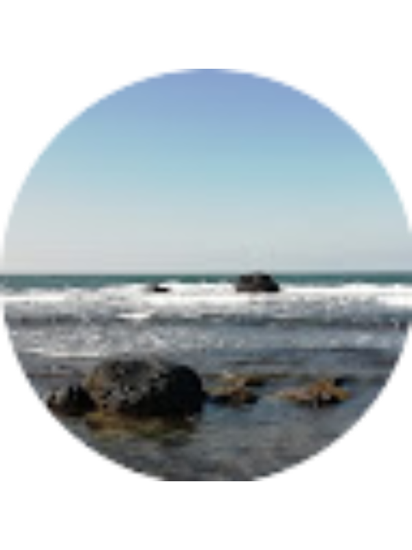 Photo of Ekin Sena G&uuml;ndoğdu