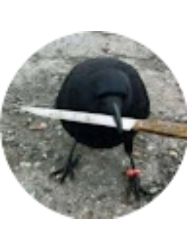 Photo of X&Oacute;CHITL ALCARAZ SANTOS