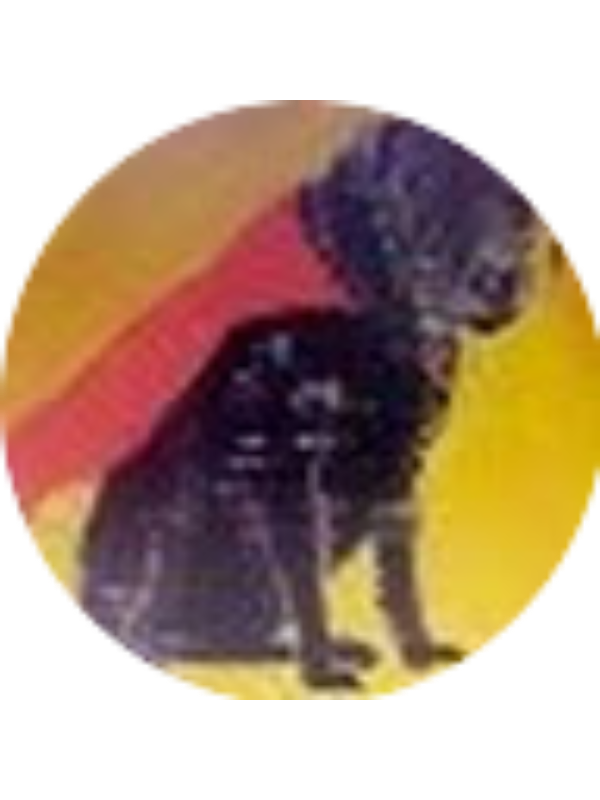 Photo of Elana Lemar