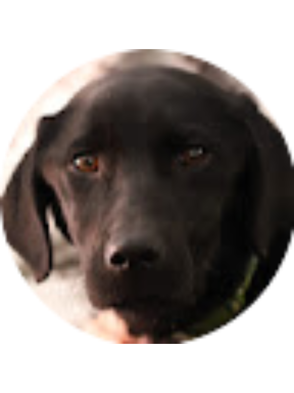 Photo of Sheyenne Waletzko