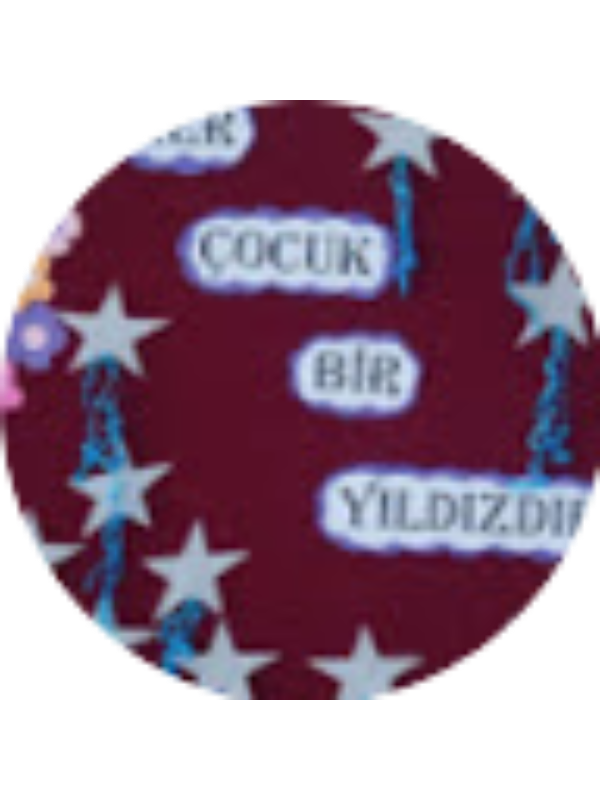 Photo of Fatma Akgül