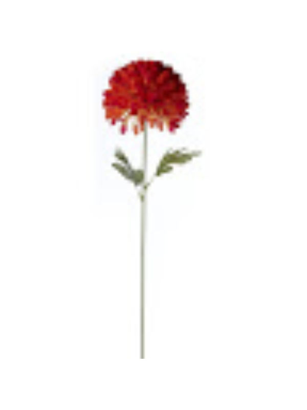 Photo of Madelynn Gardner