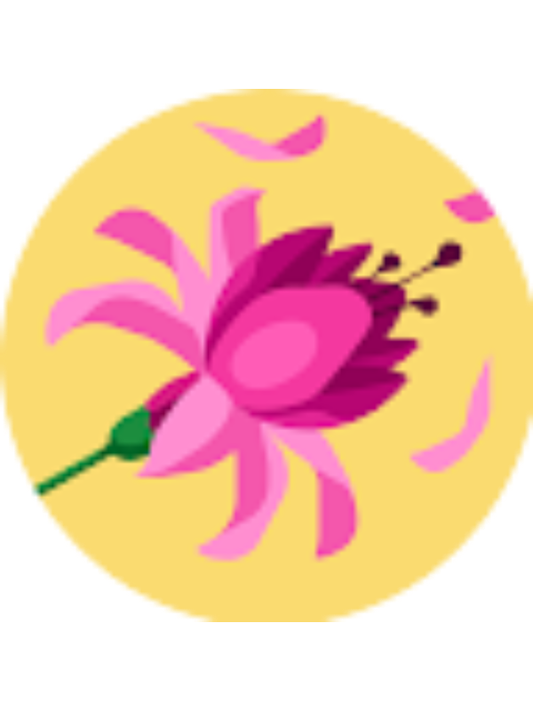 Photo of Angie Sanchez