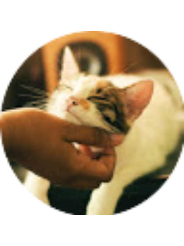 Photo of Amina Mahomed