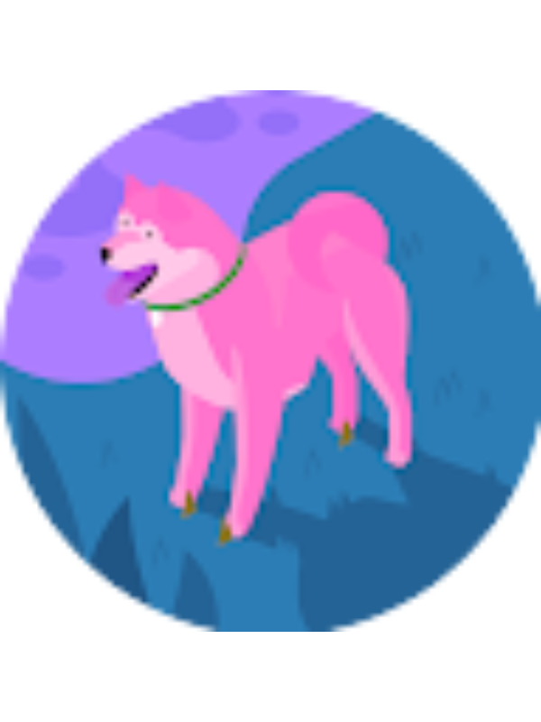 Photo of Cielo Huamanzuloaga