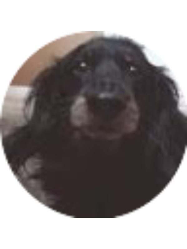 Photo of Jayson Hall