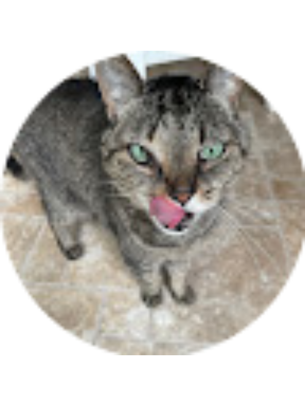 Photo of Student Ronan Telin