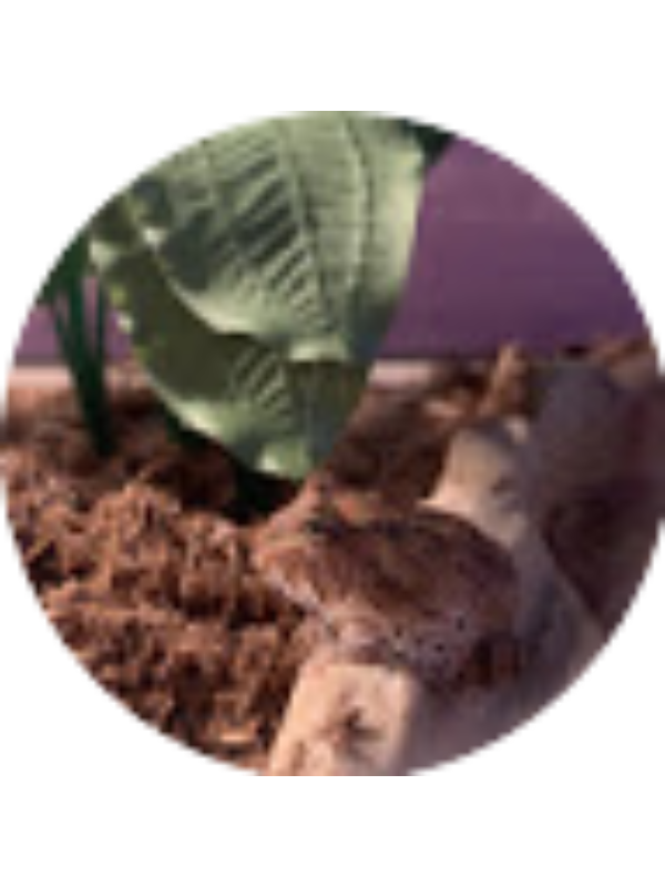 Photo of eliseforbes0