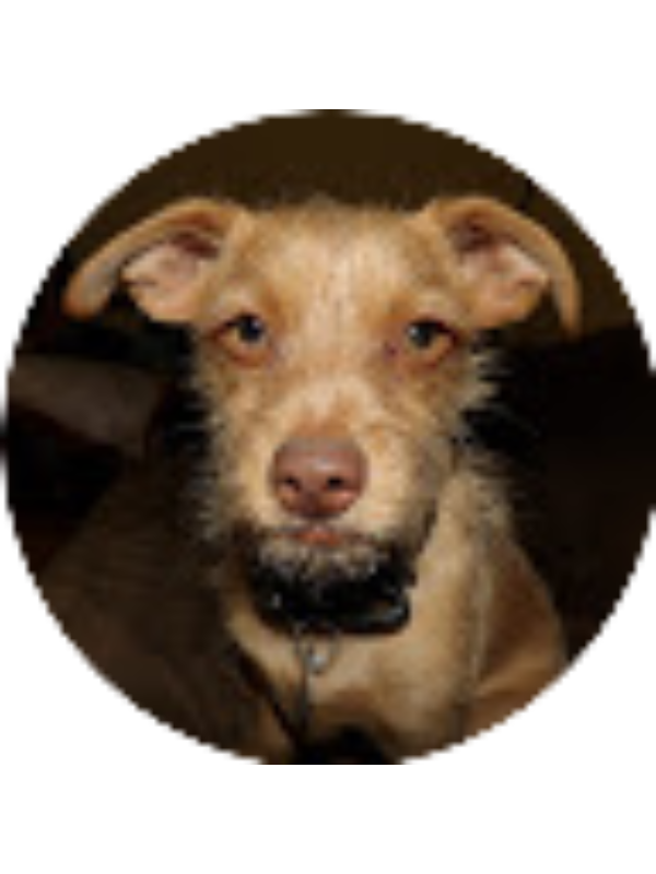 Photo of Kassidy Berg