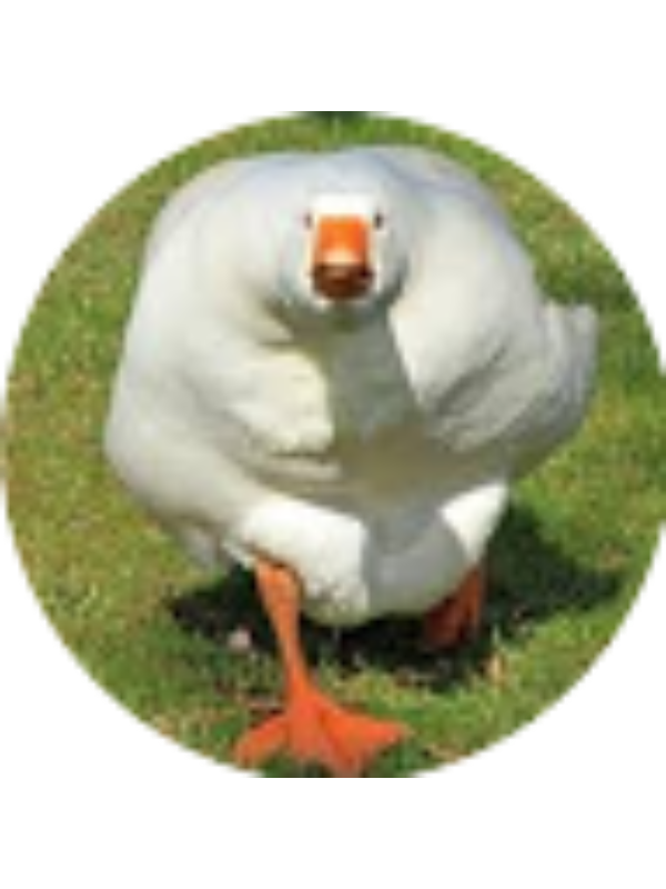 Photo of Dayur Arias Mari�os