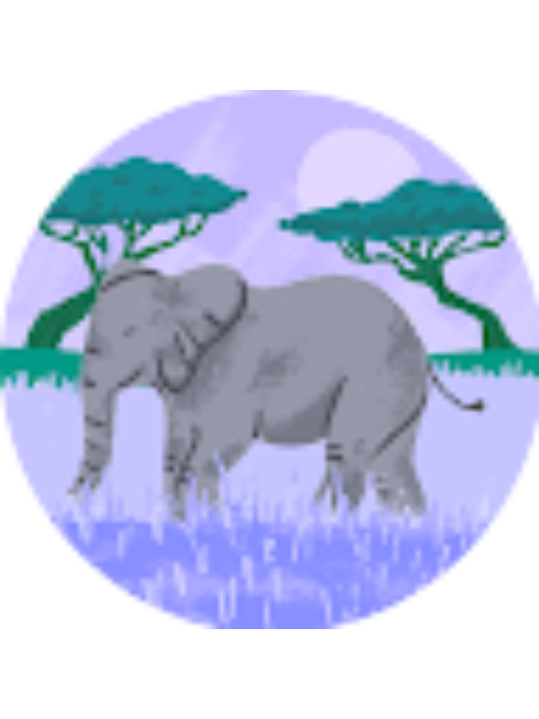 Photo of Isadora Chaigneau-Taquechel