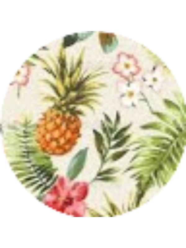 Photo of ANNA SOMERINDYKE